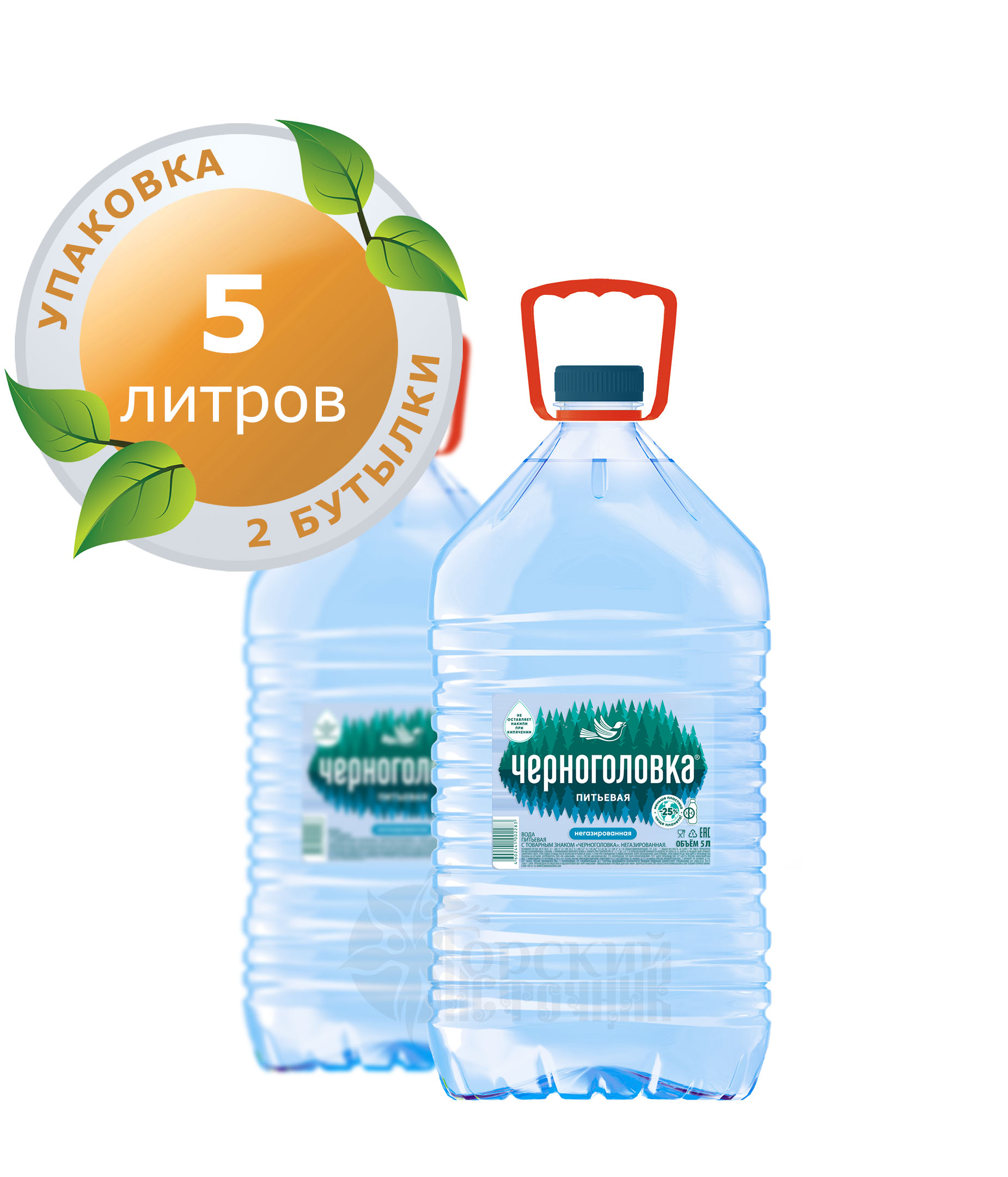 Вода «Черноголовка» 5л (упаковка 2шт)